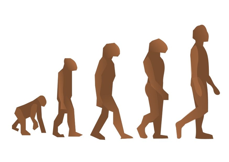 Image human evolution