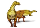Images Iguanodon