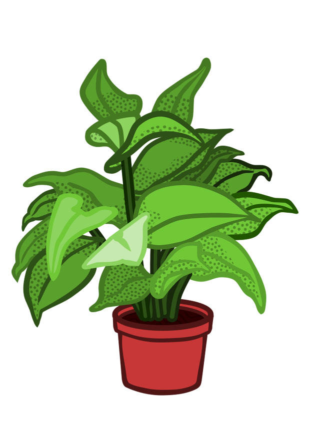 Image indoor plant