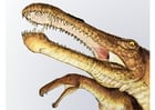 Image irritator dinosaur