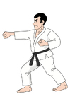 Images judo