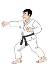 judo