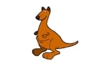 Image kangaroo