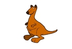 Images kangaroo