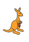 Image kangaroo