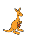 Images kangaroo