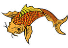 Image koi