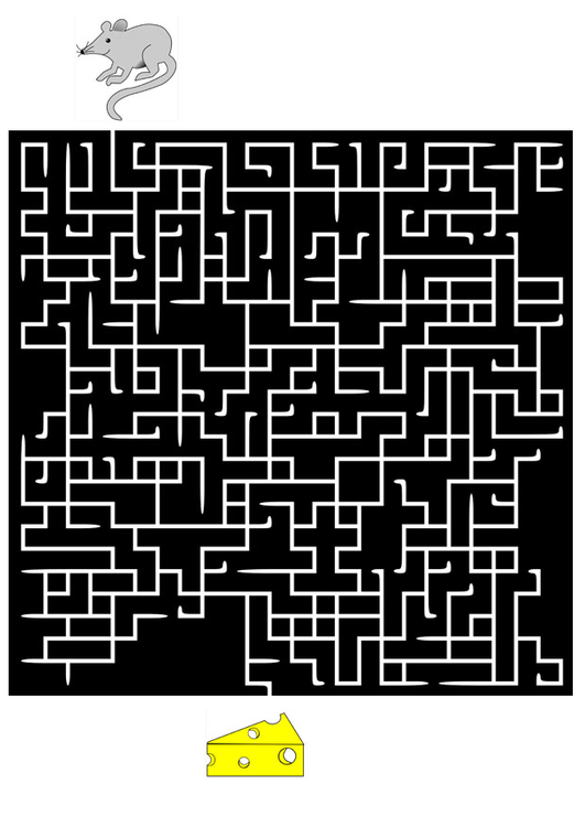 Image labyrinth