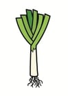 Image leek