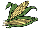 Images maize
