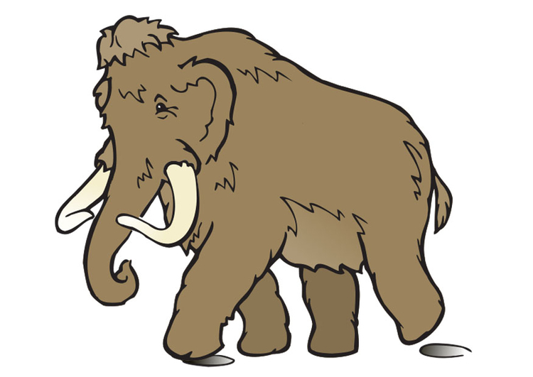 Image mammoth