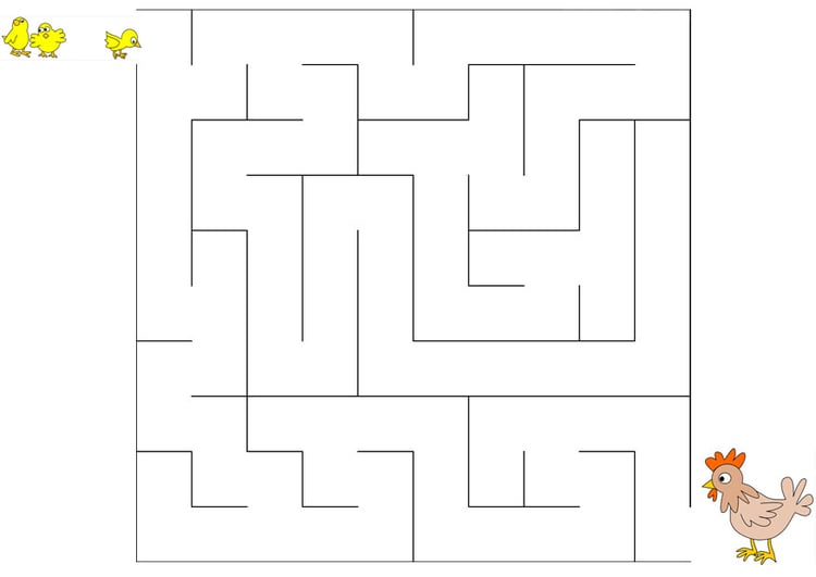 Image maze chicken