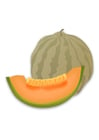 Images melon