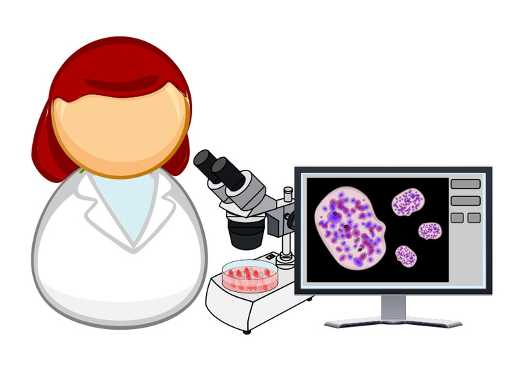 Image microbiologist