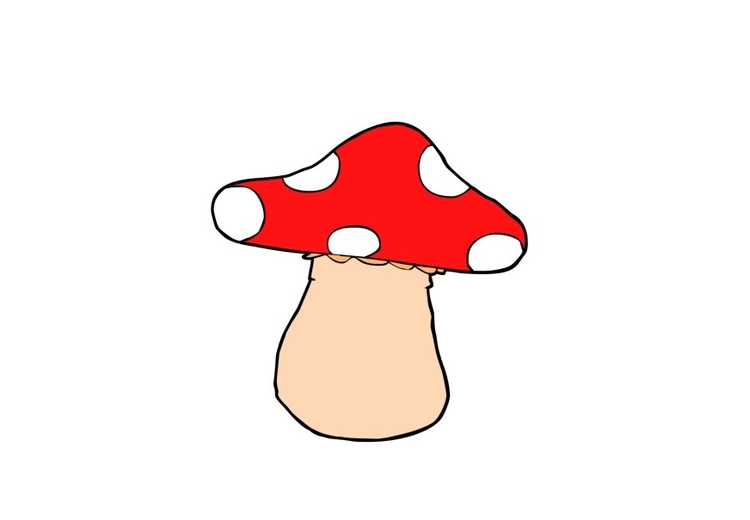 Image mushroom