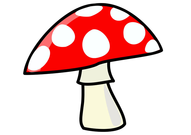 Image mushroom