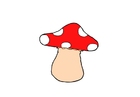 Images mushroom