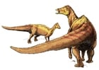 Image nipponosaur