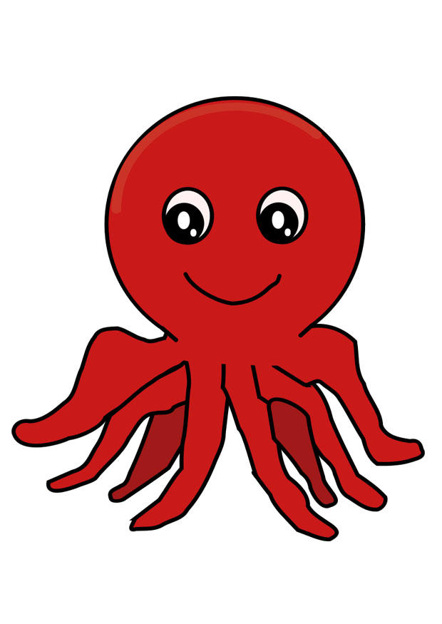 Image octopus