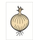 Image onion