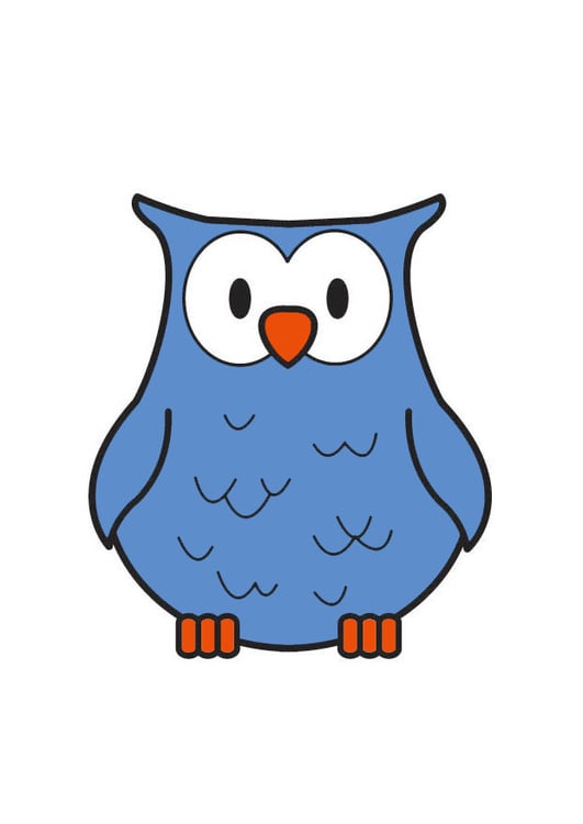 Image owl