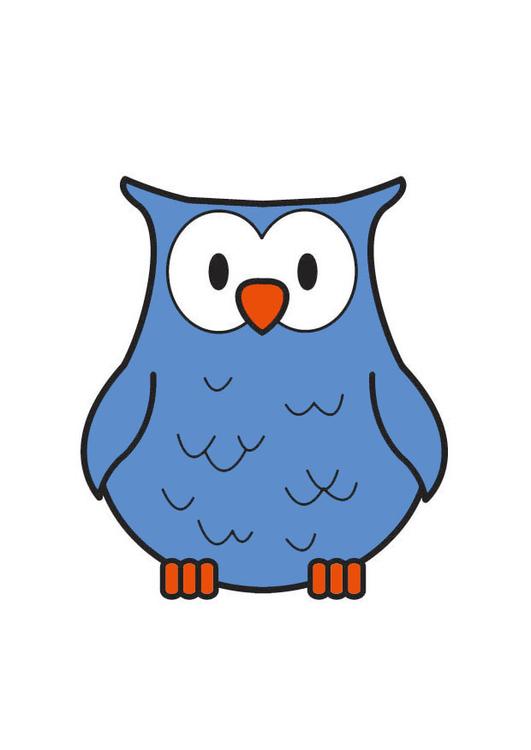 owl