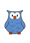Image owl