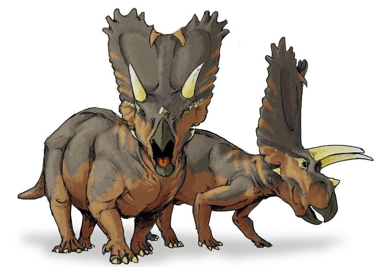 Image Pentaceratops dinosaur
