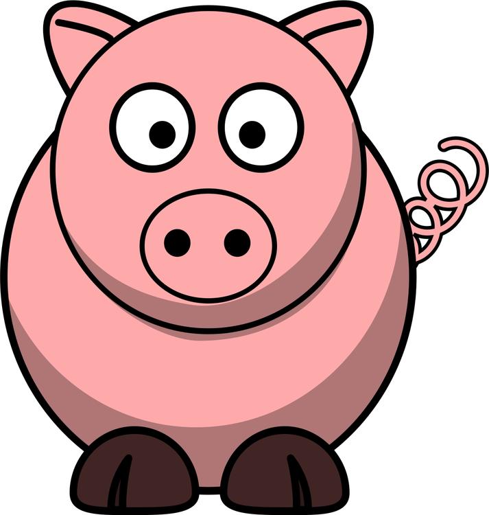 pig