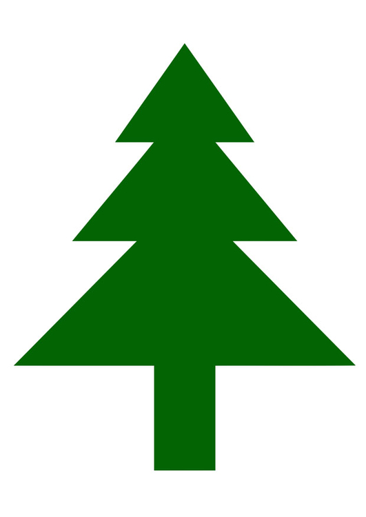 Image pine tree