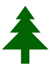 Image pine tree