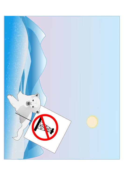 polar bear protection