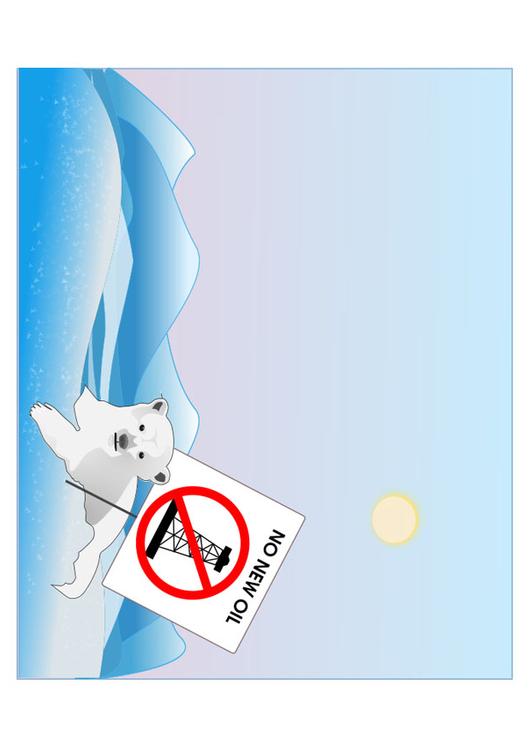 polar bear protection