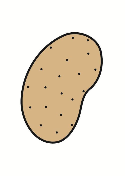 potato