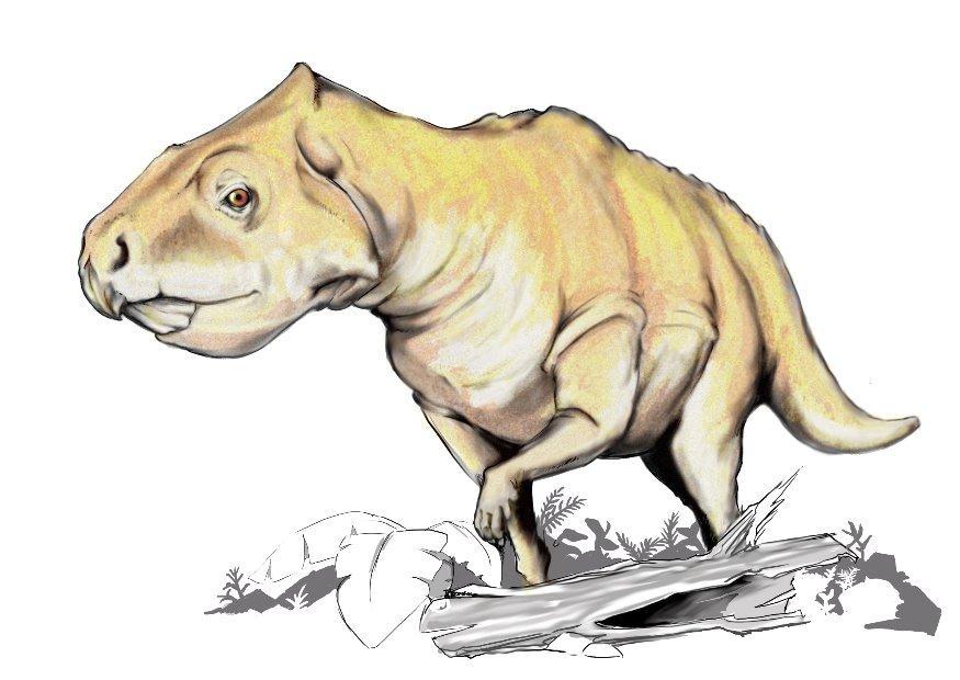 Image Prenoceratops dinosaur