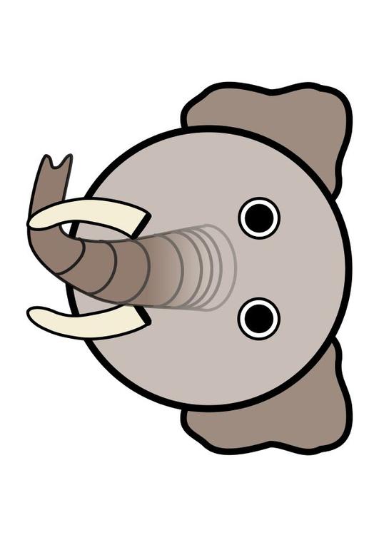 r1- elephant