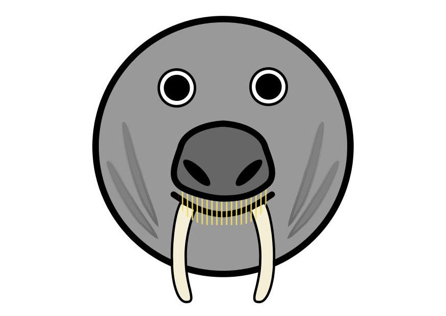 Image r1- walrus