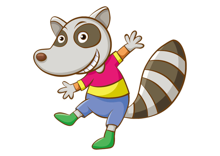 Image racoon