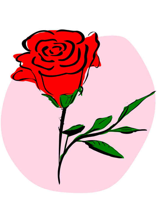 Image red rose