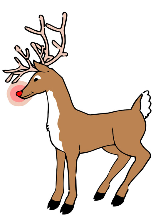 Image reindeer