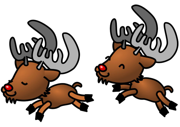 Image reindeer