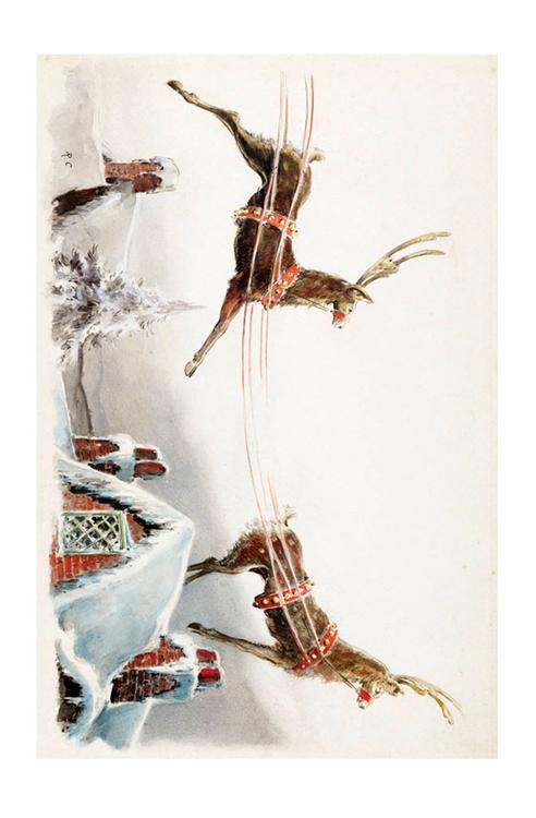 reindeer