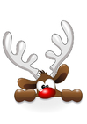 Image reindeer