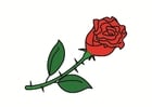 Image rose