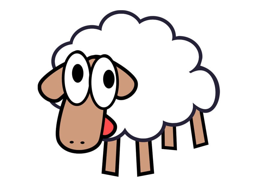 Image sheep