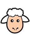 Image sheep