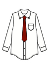 Image shirt with tie