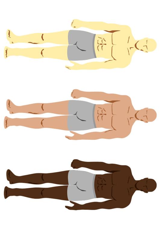 skin colours