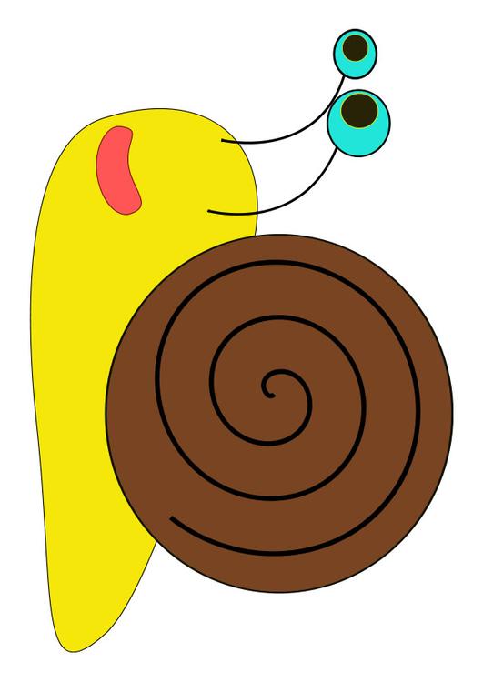 snail