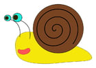 Images snail